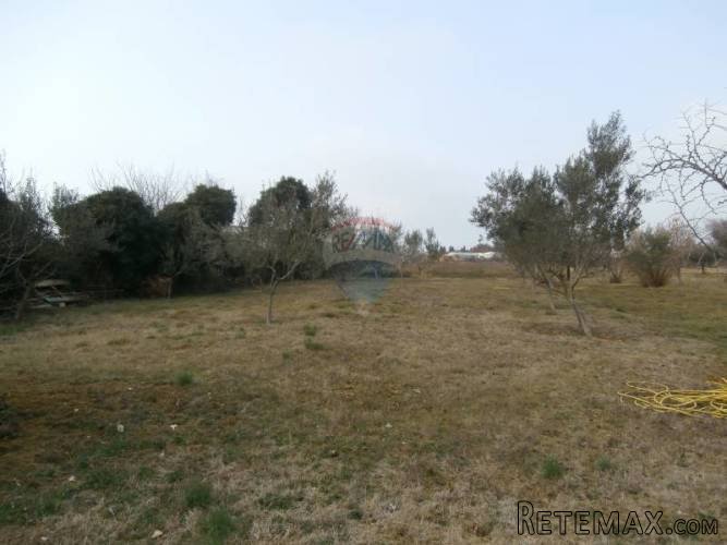 VABRIGA-kuća sa poslovnim prostorom - 4
