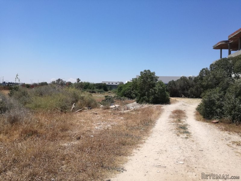 TERRAIN DE 3000 m2 - 2