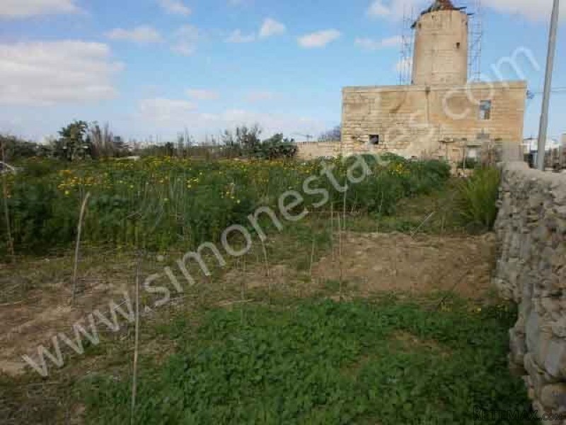 Land / Fields,