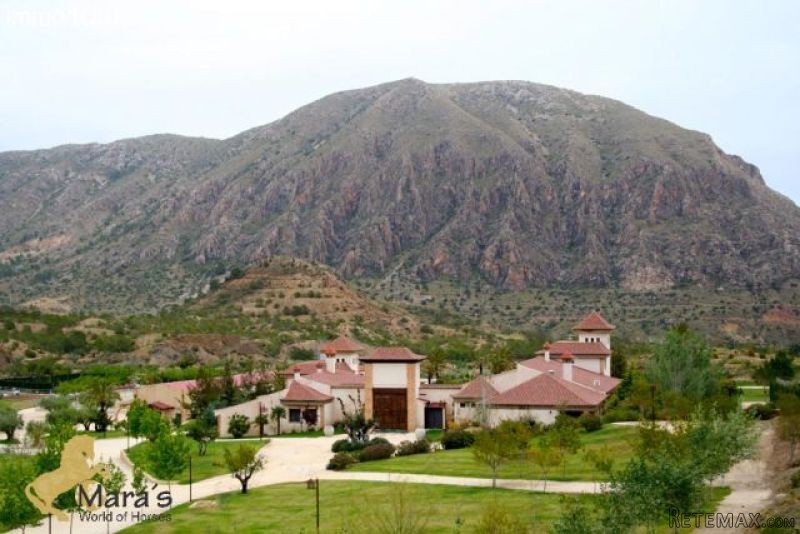 Alicante: Hotel equestrian property