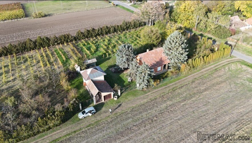 Bio salaš/bio gazdinstvo u okolini Subotice