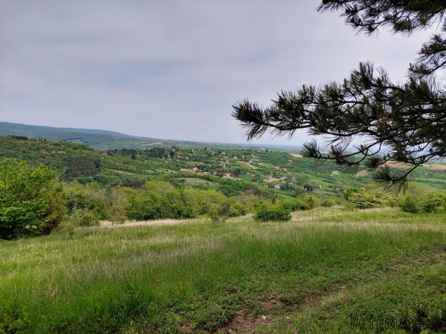 Zemljište 9200 m2 iznad sela Jazak, Fruška gora - 3