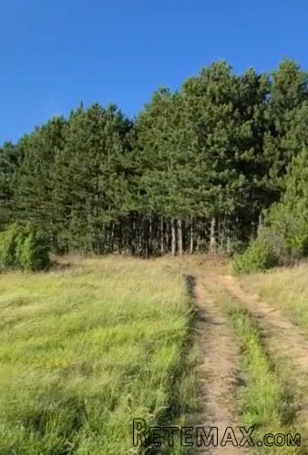 Zemljište 9200 m2 iznad sela Jazak, Fruška gora - 4