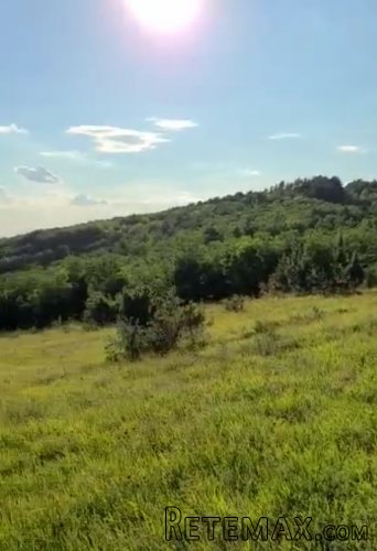 Zemljište 9200 m2 iznad sela Jazak, Fruška gora - 5