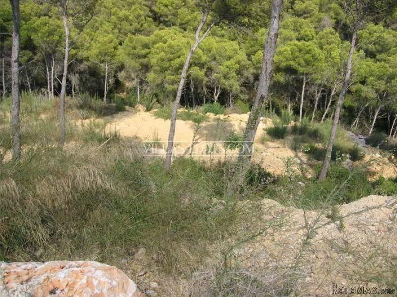 Plot In Javea