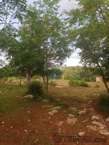 Istra, Buje građevinsko zemljište stambeno poslovne namjene - 2