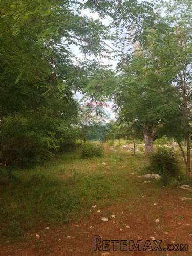 Istra, Buje građevinsko zemljište stambeno poslovne namjene - 3