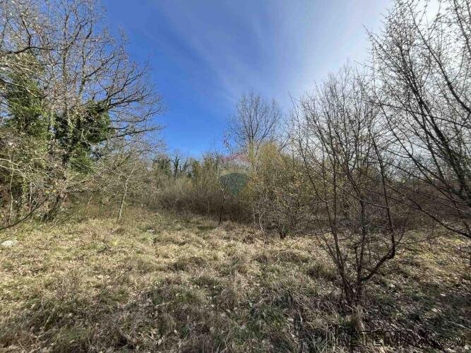 Istra, Tinjan okolica, građevinsko zemljište 2183 m2