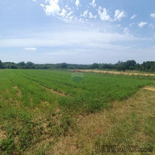 Sveti Lovreč, okolica, građevinski teren za investitore