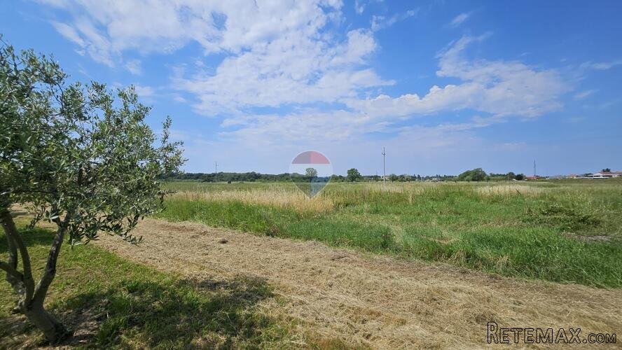 Istra, Umag- negrađevinsko zemljište