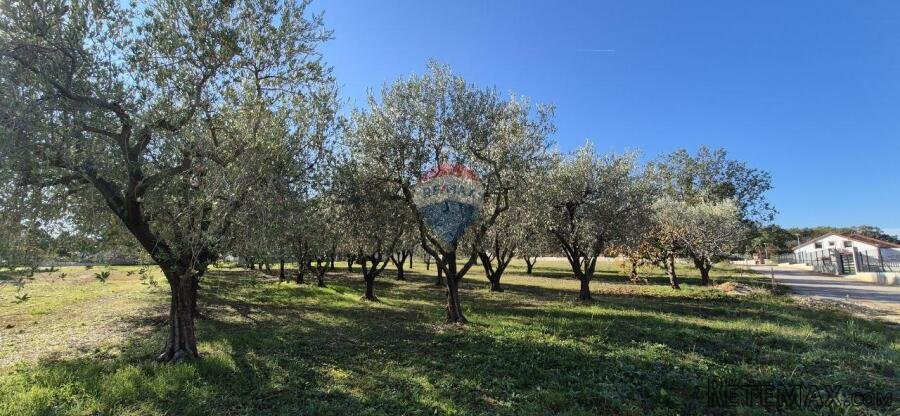 Istra, Poreč - okolica, građevinsko zemljište za izgradnju k - 2