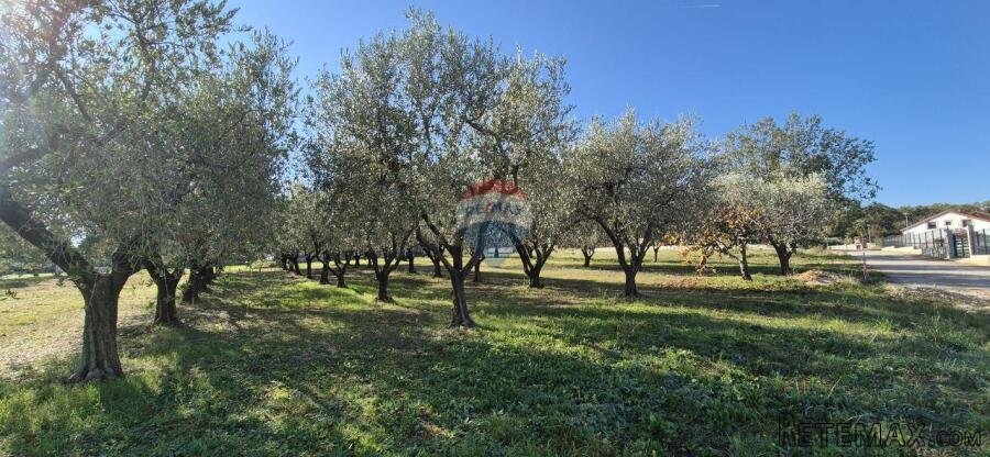 Istra, Poreč - okolica, građevinsko zemljište za izgradnju k - 3
