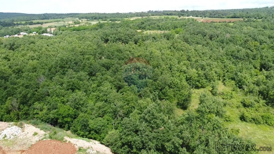 Višnjan, građevinsko zemljište proizvodno-poslovne namjene - 4
