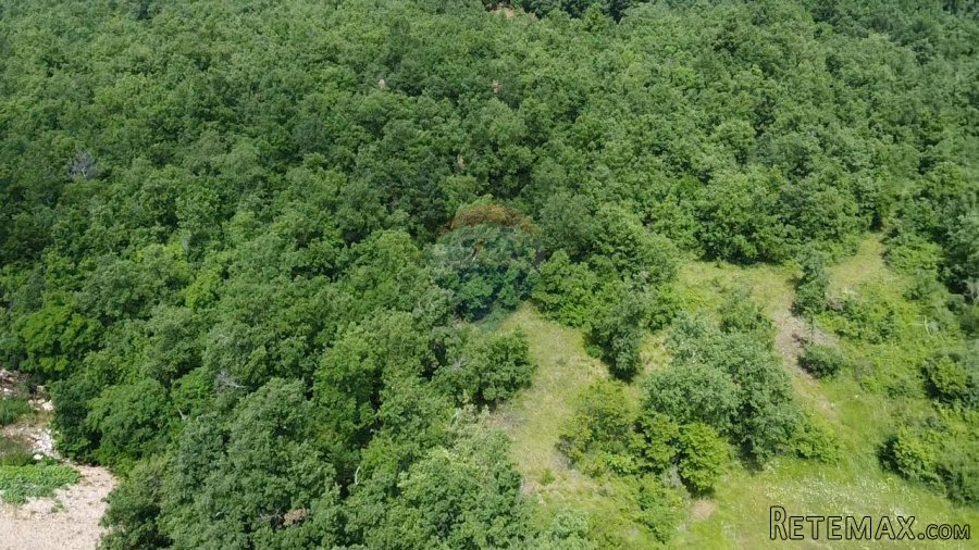 Višnjan, građevinsko zemljište proizvodno-poslovne namjene - 6