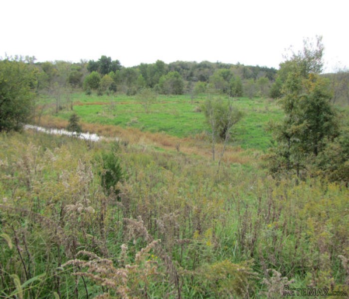 80+/- acres farm land, MO hunting with..
