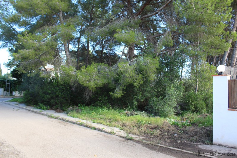 Plot in Javea