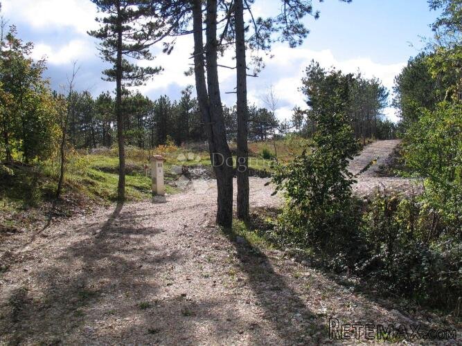 Građevinsko zemljište (2000m2) s bogatom šumom (36789 m2) - 2