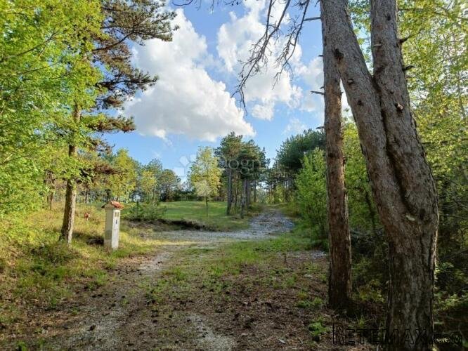 Građevinsko zemljište (2000m2) s bogatom šumom (36789 m2) - 3