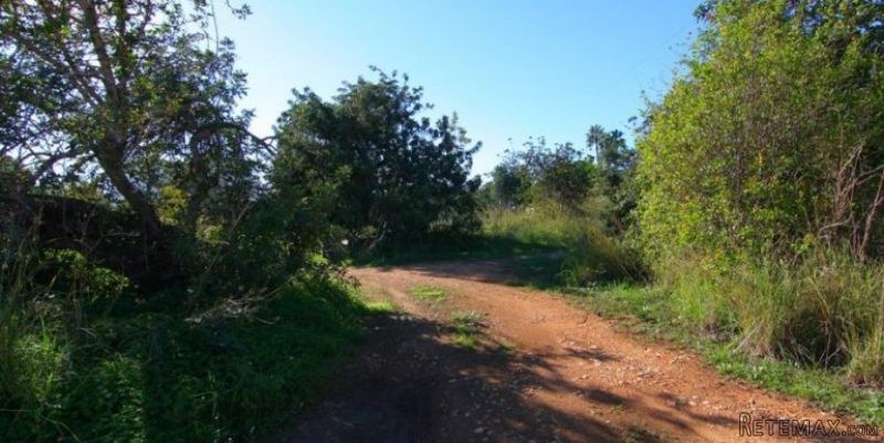 0 Bedroom 0 Bathroom Plot in Javea.