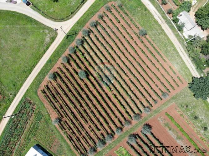 Građevinsko zemljište na području Višnjana - 3