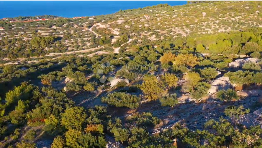 ZEMLJIŠTE OTOK BRAČ- IDEALNO ZA OPG! - 3