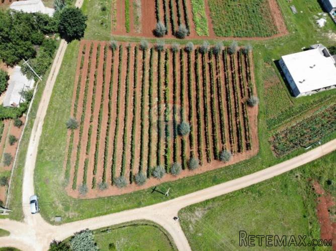 Građevinsko zemljište na području Višnjana - 4