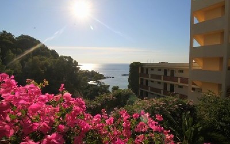 Apartment with sea views in Portals Nous