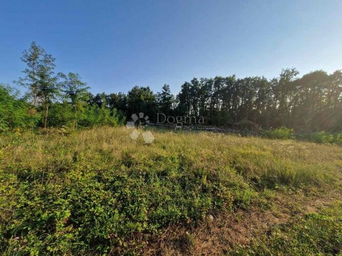 Teren za najam nedaleko centra Vižinade 9628 m2 - 3
