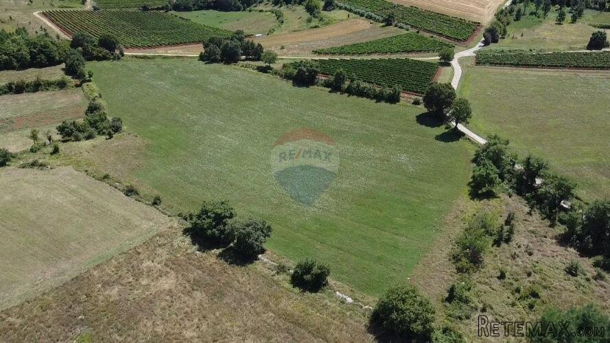 Istra, Vižinada, negrađevinsko zemljište 11 290 m2 - 2
