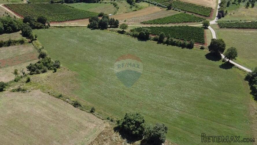 Istra, Vižinada, negrađevinsko zemljište 11 290 m2 - 3