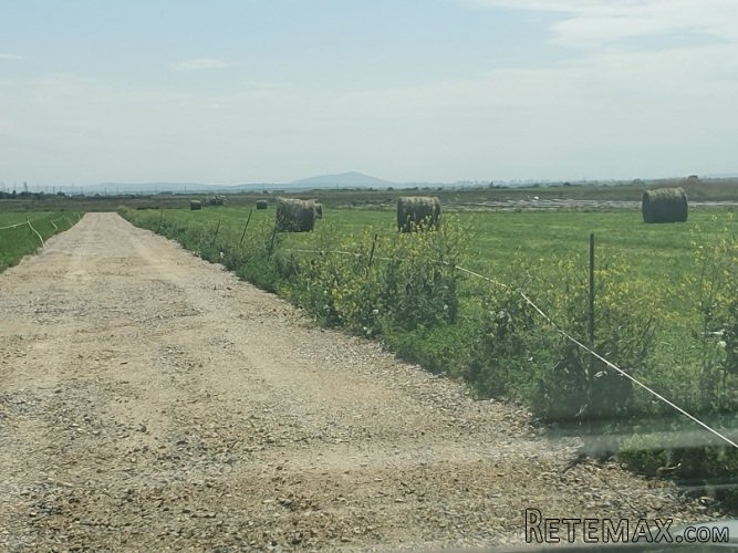 Batajnica/Busije zemljiste na prodaju - 5