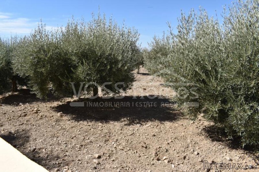 NEW & EXCLUSIVE TO VOSS HOMES - A beautifully presented 2.. - 15