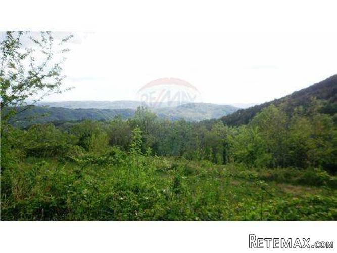 PREKRASNA STANCIJA 33000 M2 S RUŠEVINOM ZA OBNOVU - 3