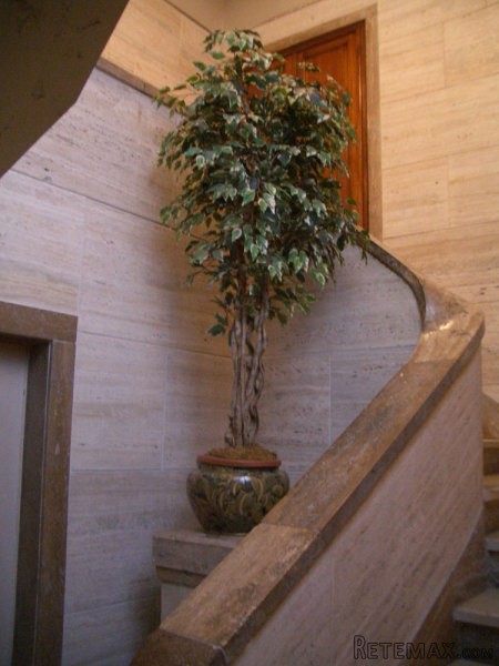 Aristocratic Palace Pisa - Rental - 2