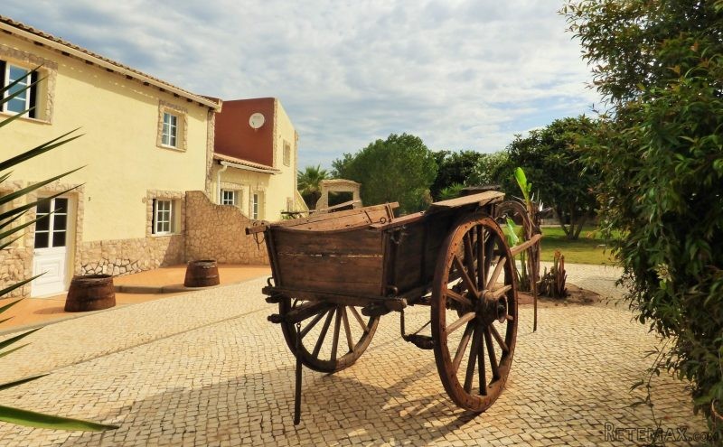 Fabulous Farm Near Lagos