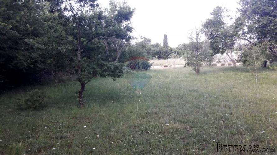 Poljoprivredno zemljište sa legaliziranom kućicom od 25m2 - 3