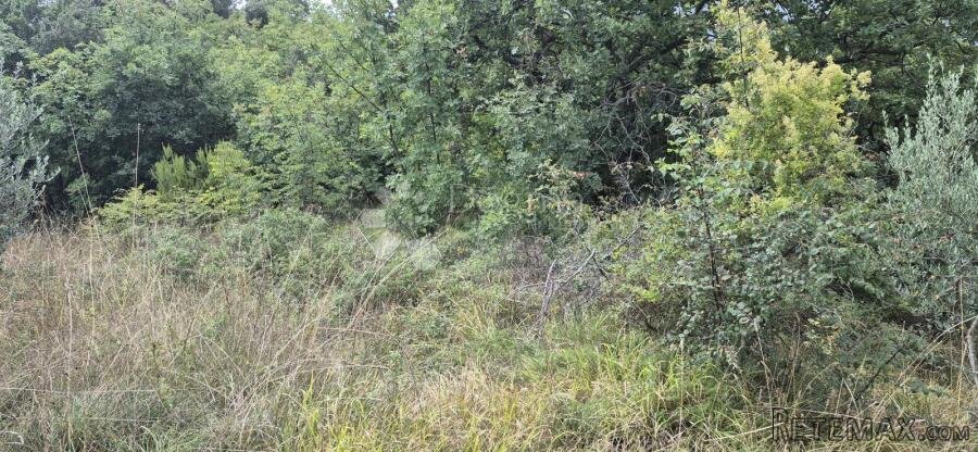Prodaje se poljoprivredno zemljište - Kavran 1173 m2
