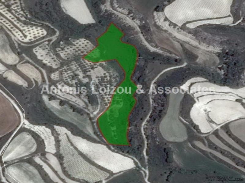 11,037 m2 Agricultural field in Tsada
