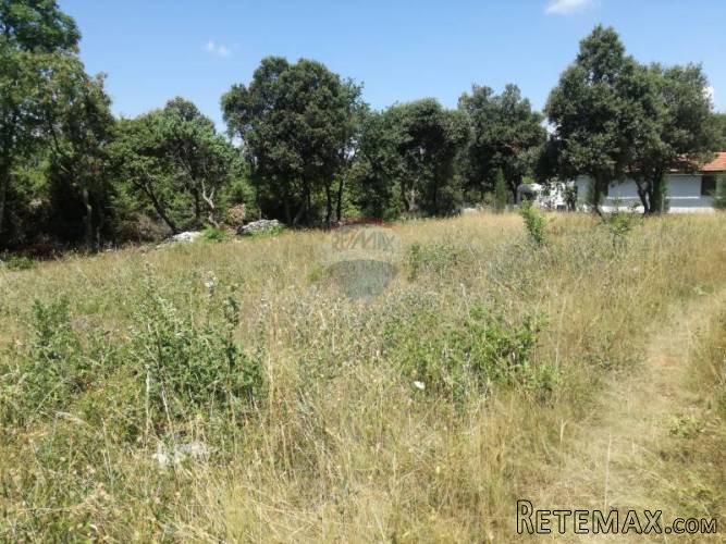 Istra,Pavićini -negrađevinsko vikend zemljište