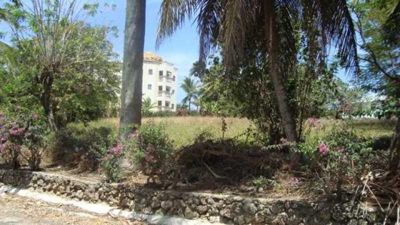 Ideal Lot For Bed And Breakfast..