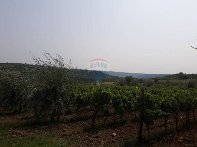 Istra, Krasica, Brajki atraktivno zemljište - 2