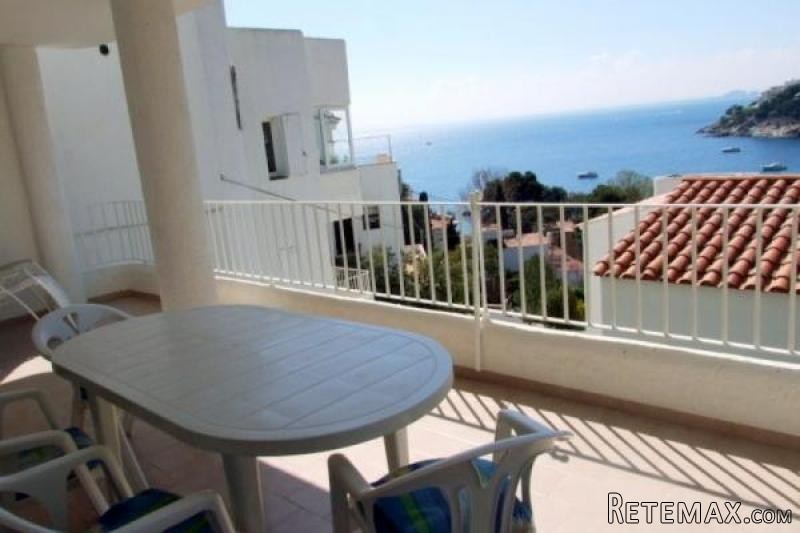 ROSES: Beautiful apartment with a..