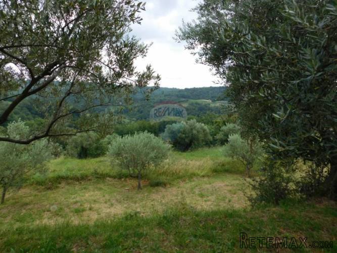 Istra, Merišće - Monte piccolo - 2