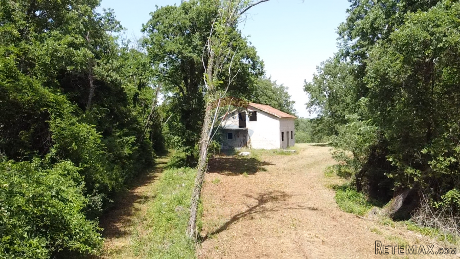 Istra, Višnjan - Samostojeća kuća sa 4900 m2 okućnice - 2