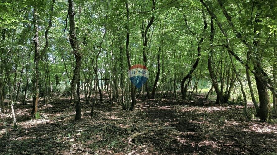 Istra, Kaštelir, okolica - poljoprivredno zemljište s pogled - 3