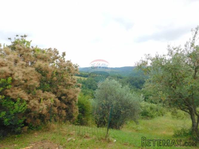 Istra, Merišće - Monte piccolo - 3