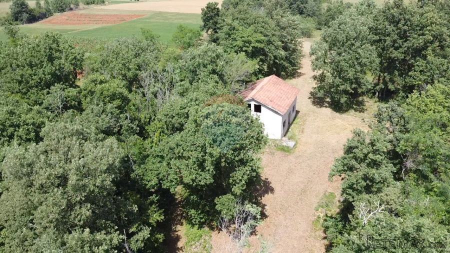 Istra, Višnjan - Samostojeća kuća sa 4900 m2 okućnice - 3