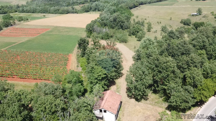 Istra, Višnjan - Samostojeća kuća sa 4900 m2 okućnice - 4