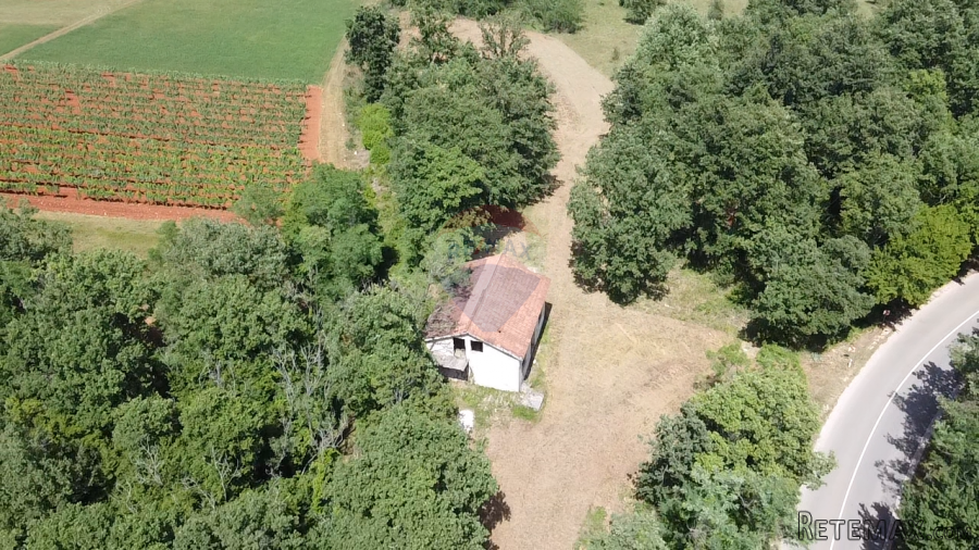 Istra, Višnjan - Samostojeća kuća sa 4900 m2 okućnice - 5