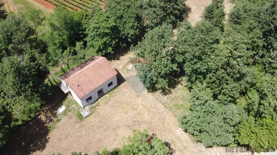 Istra, Višnjan - Samostojeća kuća sa 4900 m2 okućnice - 6